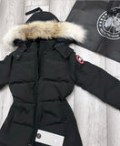 Pre Order Luxury Collar Coat